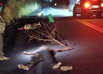 Motociclista morre após colidir contra caminhão, cair e ser atropelado