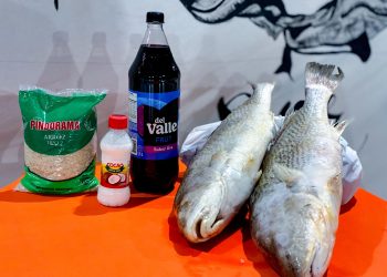 Prefeitura de Campo Alegre realizará a distribuição de 50 toneladas de peixes, Arroz, Leite de coco e refrigerantes de Uva na Semana Santa