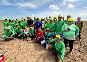 Agricultores do projeto barriga cheia iniciam mais um plantio em Campo Alegre