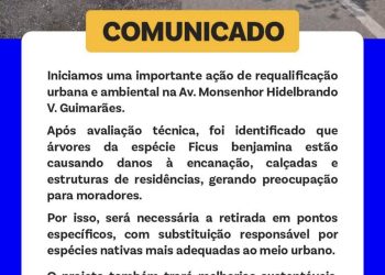 Prefeitura de Campo Alegre inicia ação de requalificação urbana e ambiental na Avenida Monsenhor Hildebrando Veríssimo Guimarães