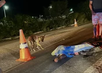 Homem morrer após caminhonete atingir cavalo na BR-104, em União dos Palmares
