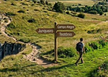 Piso, reajuste e carreira: como três municípios tratam de forma diferente a valorização dos professores