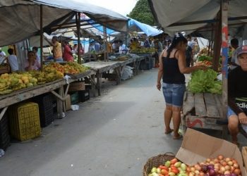 Da roça para a cidade: o papel da agricultura familiar na Feira Livre de Campo Alegre
