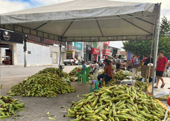 Vendas de espigas de milho têm alta procura no Centro de Campo Alegre e Luziápolis