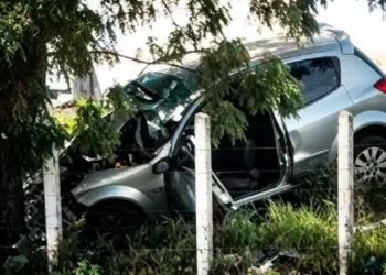 Homem morre após carro colidir contra árvore na AL-130