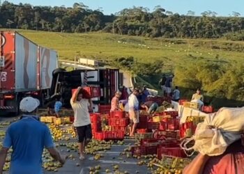 Carreta carregada de laranjas tomba na ladeira da Usina Sinimbu, próximo a Luziápolis