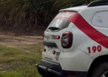 Ossada humana é encontrada às margens da BR-101 em Pilar
