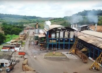 Usina Porto Rico inicia safra 2026/2027 e dá início a mais um ciclo de produção