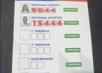 Santinho de candidatos apoiados por Henrique Tenório não traz número para Governador
